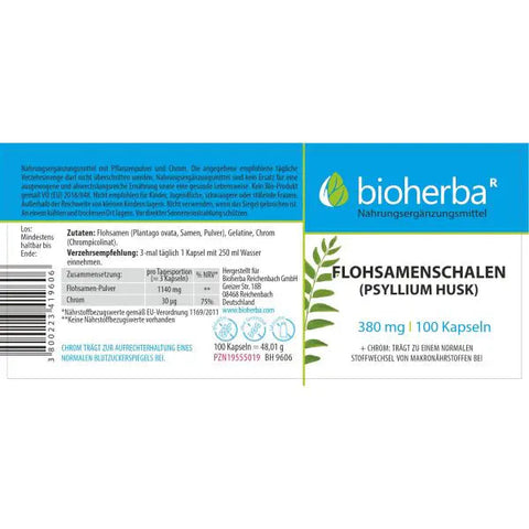 Flohsamenschalen (Psyllium Husk) 380 mg 100 Kapseln
