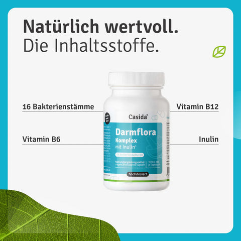 Casida Darmflora Komplex mit Inulin 120 Kapseln – 16 Bakterienstämme & 10 Mrd. KBE
