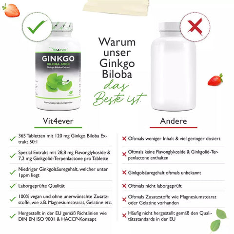Ginkgo Biloba 6000 mg - Ginkgo Spezial Extrakt - 365 Tabletten
