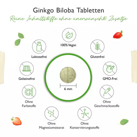 Ginkgo Biloba 6000 mg - Ginkgo Spezial Extrakt - 365 Tabletten