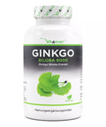 Ginkgo Biloba 6000 mg - Ginkgo Spezial Extrakt - 365 Tabletten