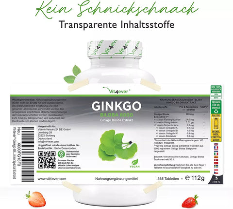 Ginkgo Biloba 6000 mg - Ginkgo Spezial Extrakt - 365 Tabletten