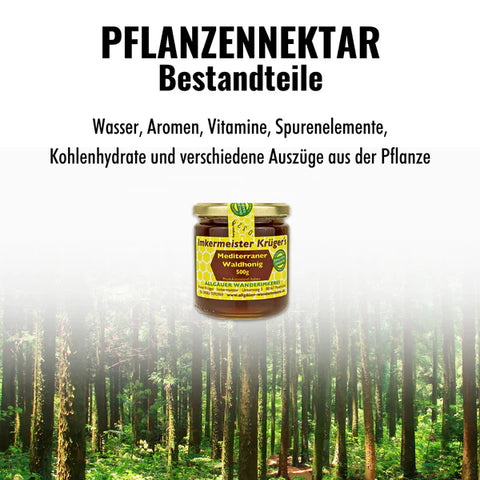 Mediterraner Waldhonig – 100% Imker Naturprodukt 500g