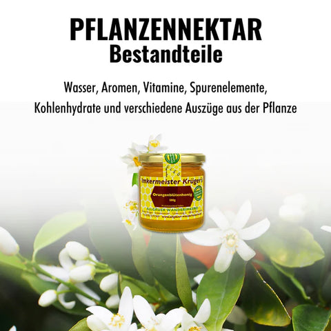 Orangenblütenhonig – 100% Imker Naturprodukt 500g
