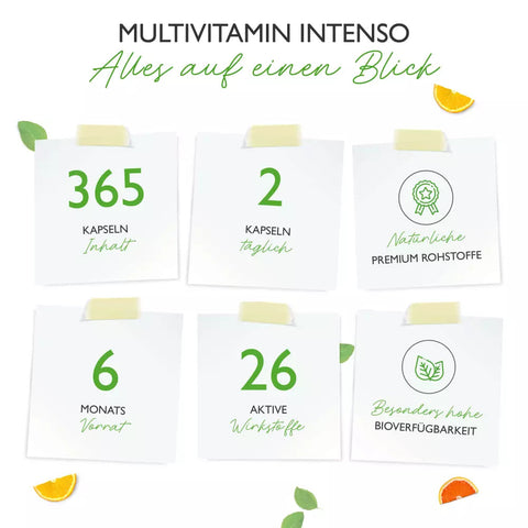 Premium-Multivitamin-Intenso-365-Kapseln-beste-Nahrungsergänzungsmittel-für-gesunde-Ernährung-mit-Kupfer-Zink-Magnesium-Vitamin-D-jetzt-im-Vlaneo-Shop-kaufen-Premium-Multivitamin-Intenso-365-Kapseln-im-Vlaneo-Shop-kaufen-für-gesunde-Versorgung-mit-Kupfer-