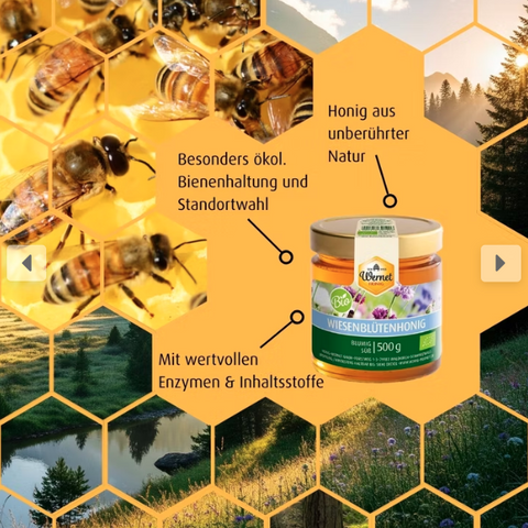 BIO Wiesenblütenhonig flüssig 500g