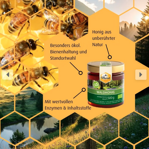 BIO Waldhonig 500g