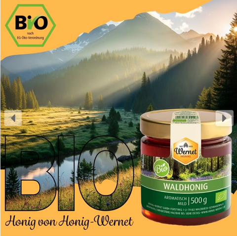 BIO Waldhonig 500g