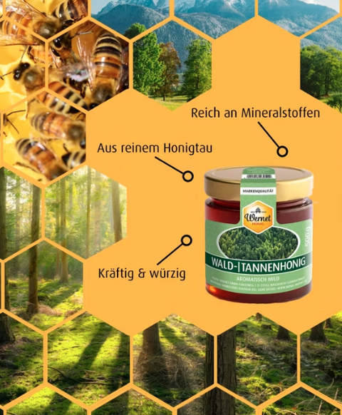 Wald-/Tannenhonig 500g