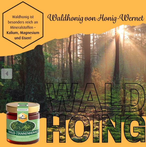 Wald-/Tannenhonig 500g