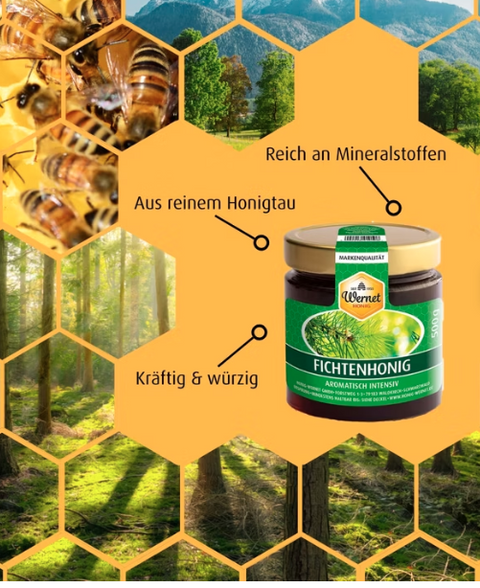 Fichtenhonig 500g