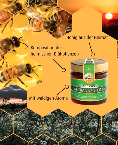 Deutscher Weißtannenhonig 250g