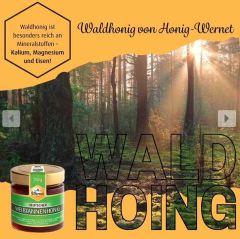 Deutscher Weißtannenhonig 250g